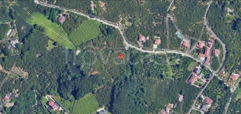 immagine annuncio 12 di 14