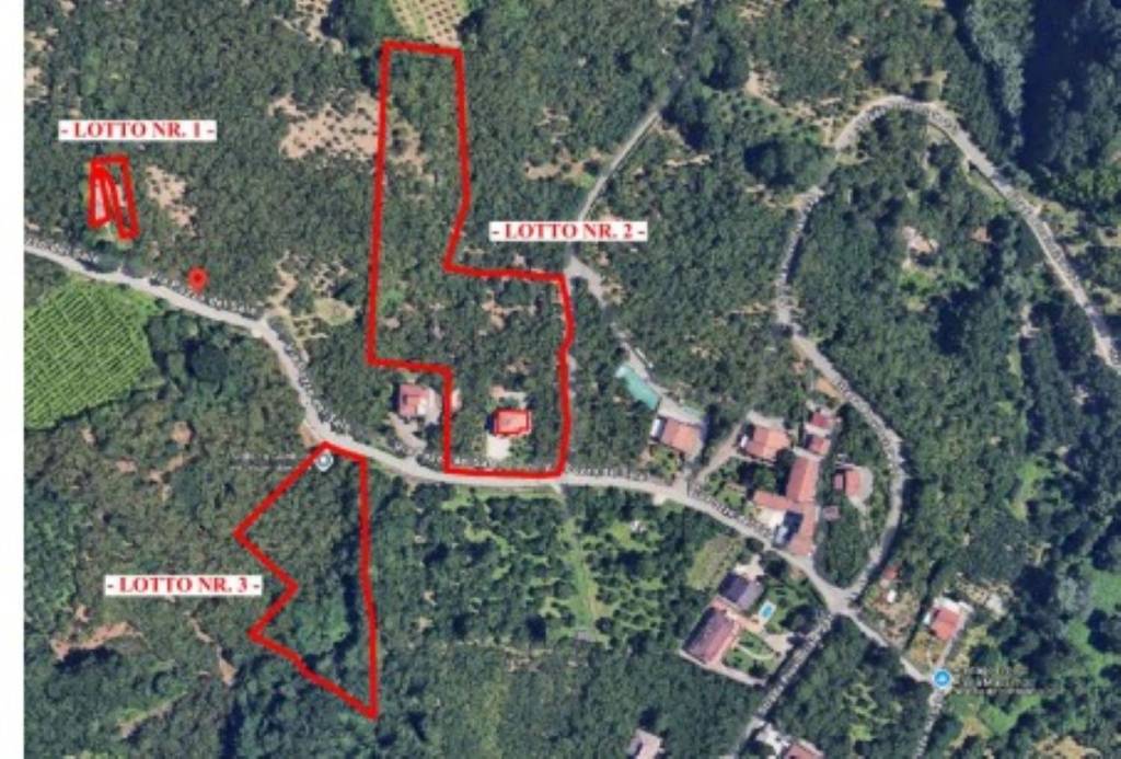 immagine annuncio 13 di 14