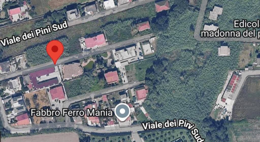 immagine annuncio 3 di 10