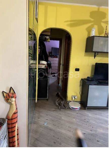 immagine annuncio 3 di 14