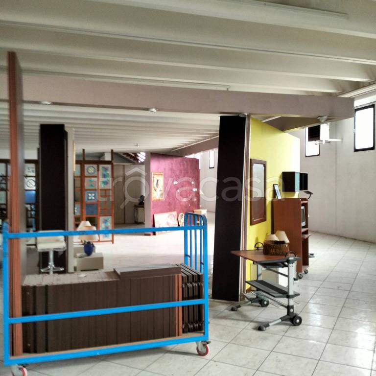 immagine annuncio 2 di 13