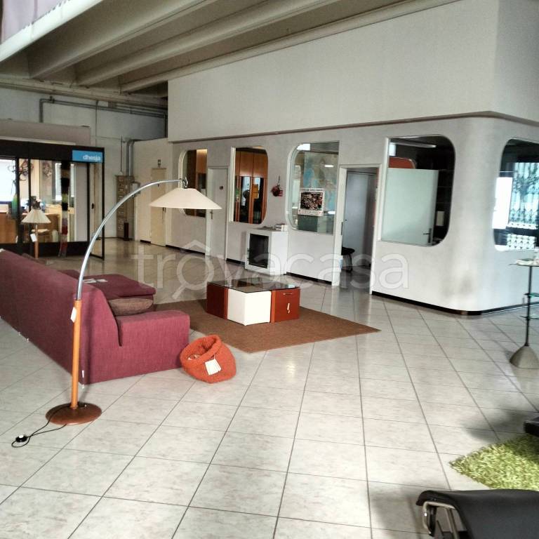 immagine annuncio 11 di 13