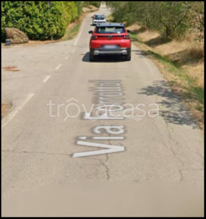 immagine annuncio 5 di 12