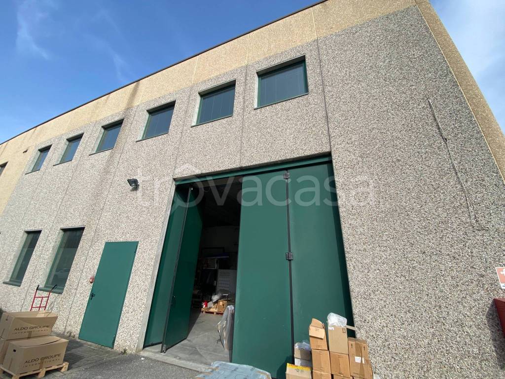 immagine annuncio 1 di 15