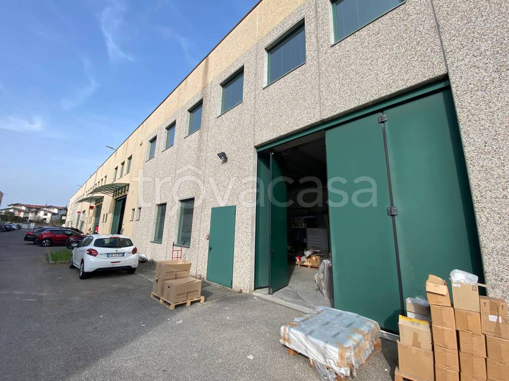 immagine annuncio 4 di 15