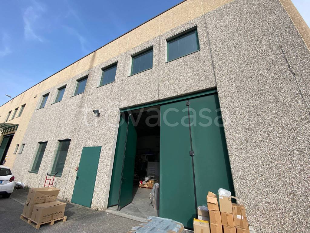 immagine annuncio 5 di 15