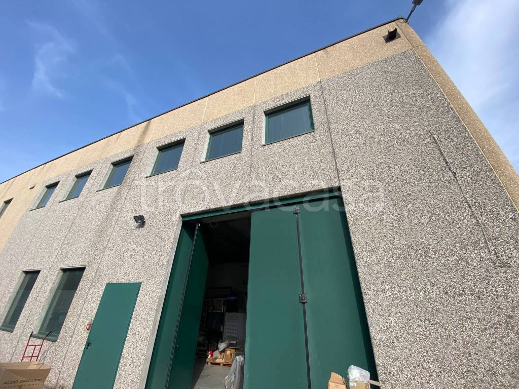 immagine annuncio 3 di 15