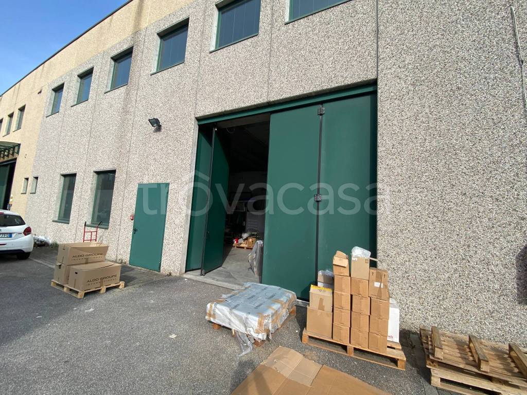 immagine annuncio 2 di 15