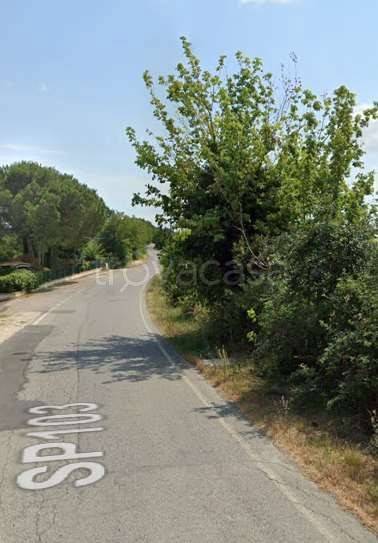 immagine annuncio 4 di 8