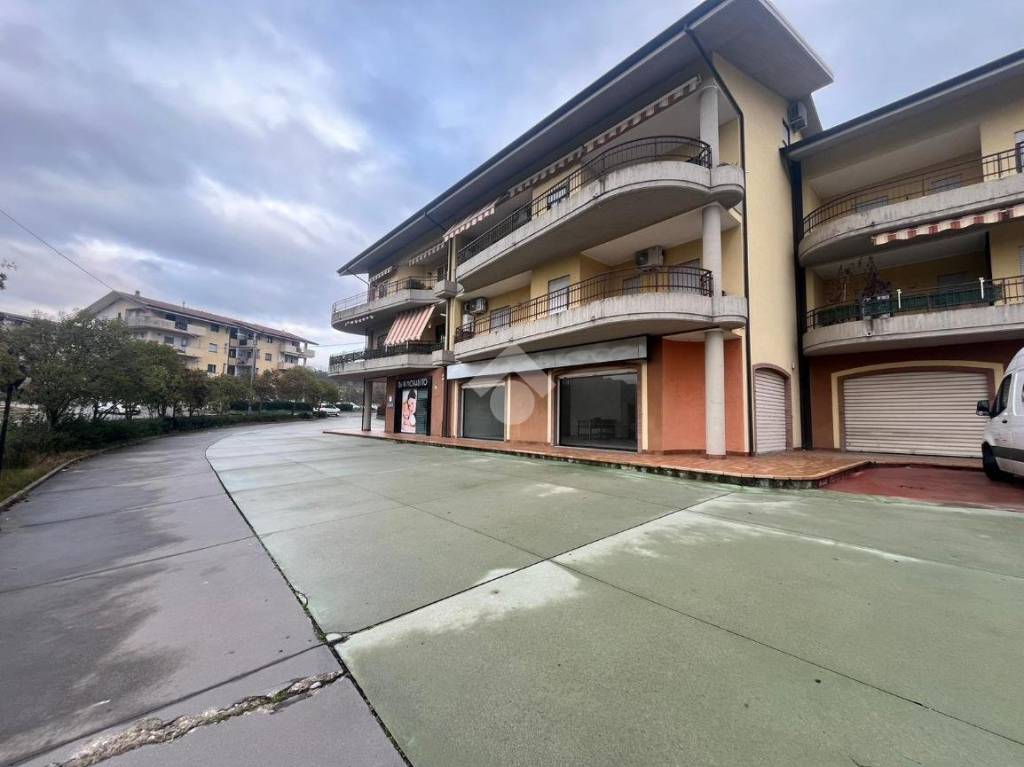 immagine annuncio 1 di 11