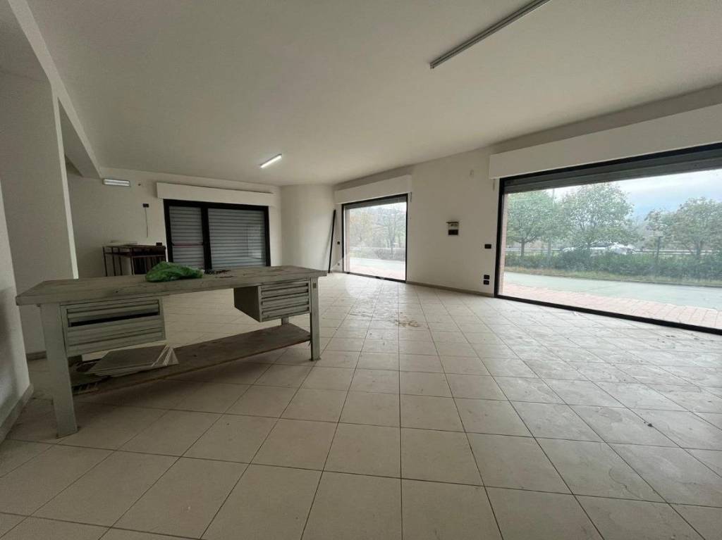 immagine annuncio 4 di 11