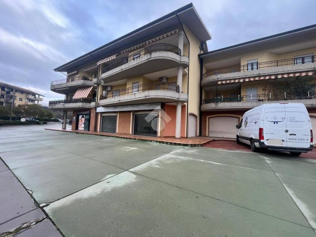 immagine annuncio 9 di 11