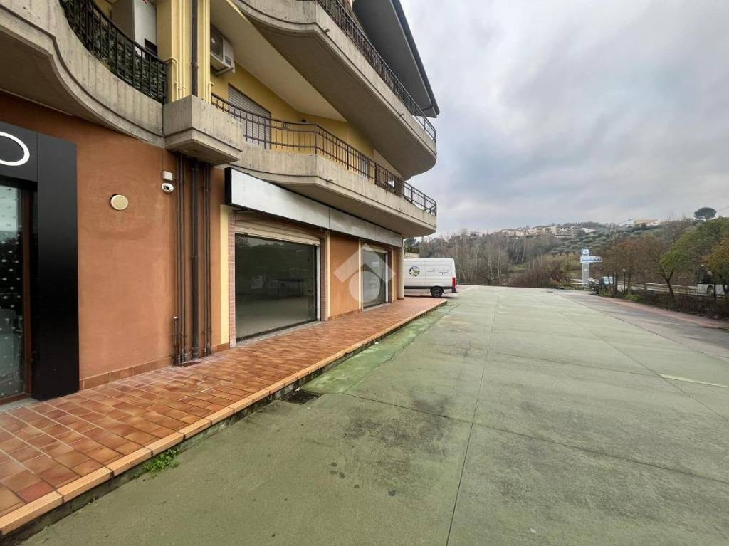 immagine annuncio 10 di 11