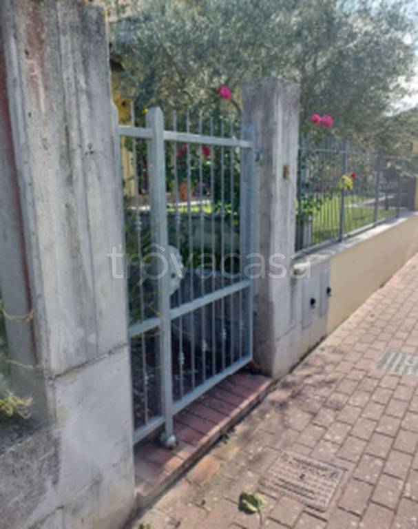 immagine annuncio 5 di 13