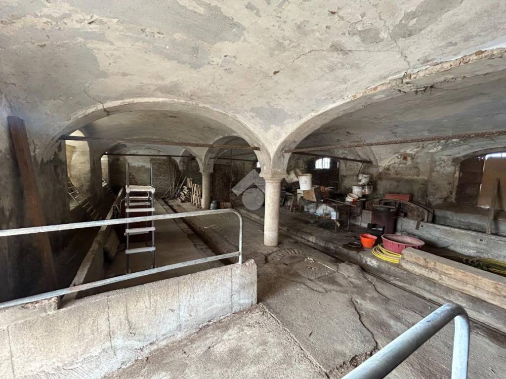 immagine annuncio 4 di 9