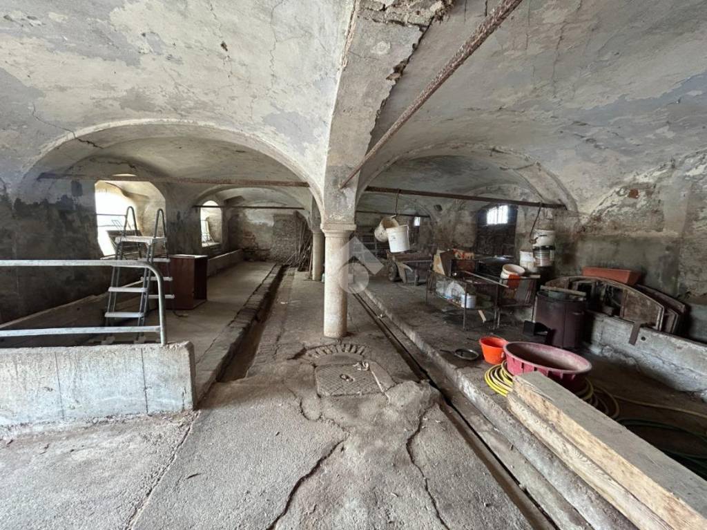 immagine annuncio 5 di 9