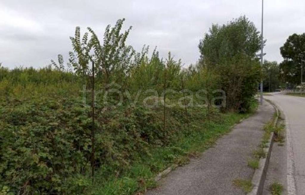 immagine annuncio 4 di 14