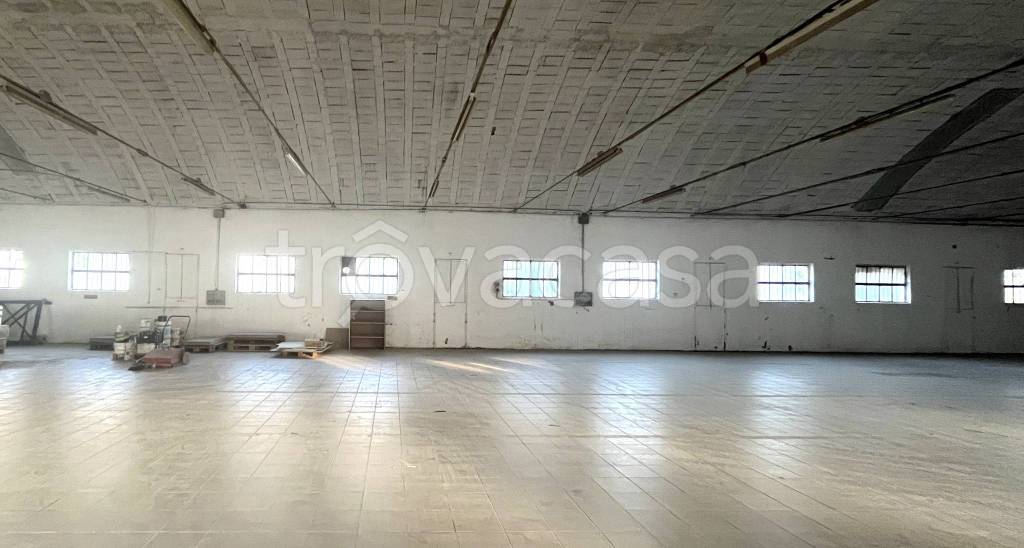 immagine annuncio 6 di 14