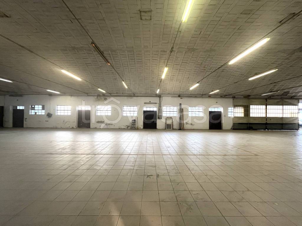 immagine annuncio 7 di 14