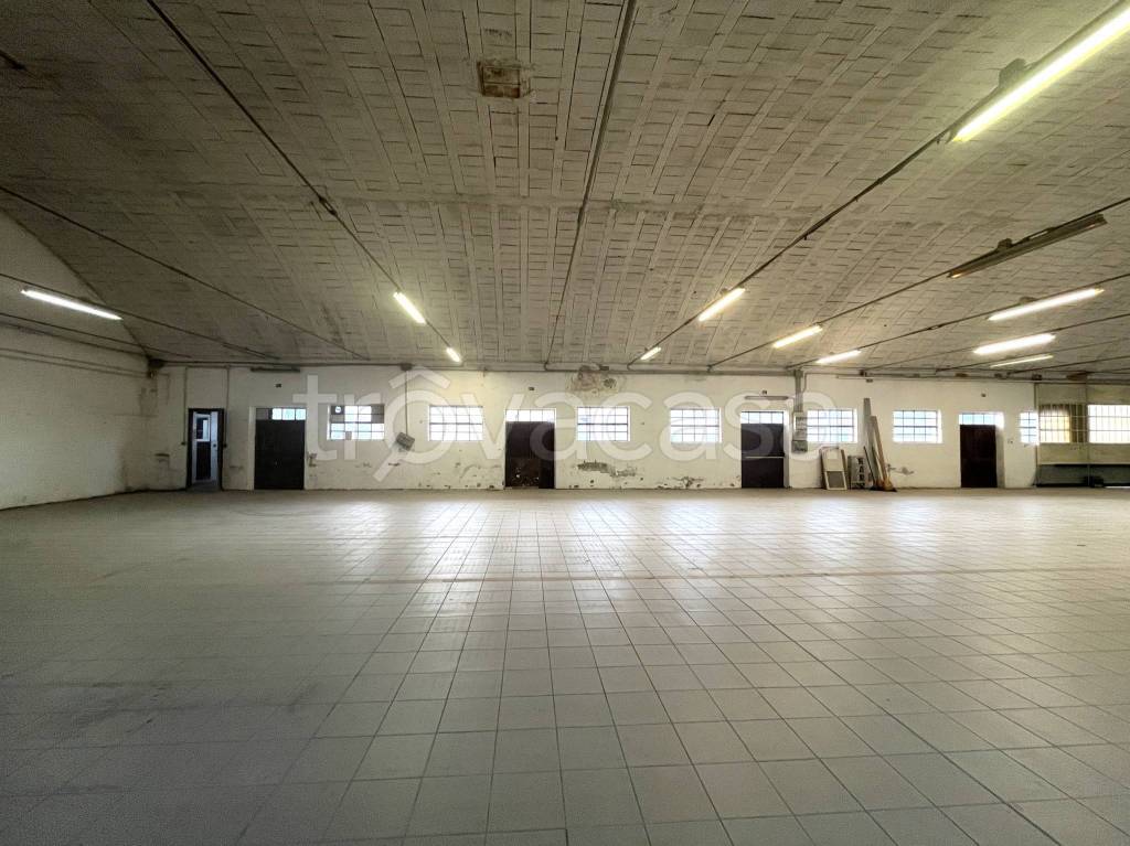 immagine annuncio 8 di 14