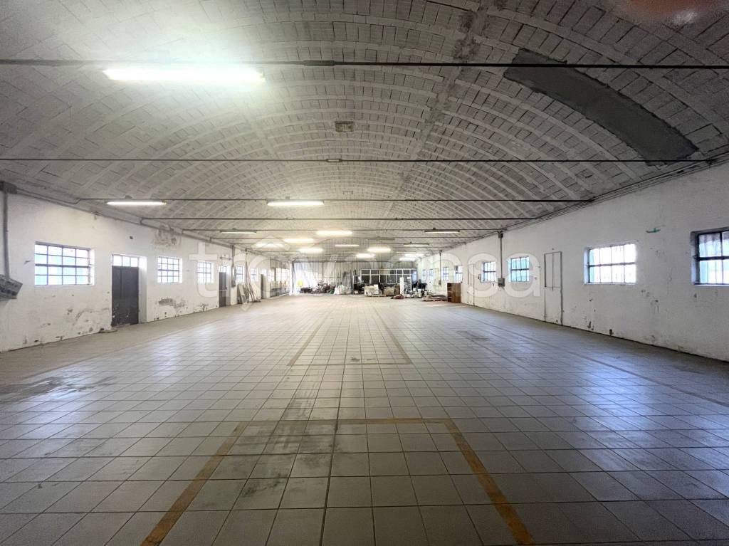 immagine annuncio 9 di 14