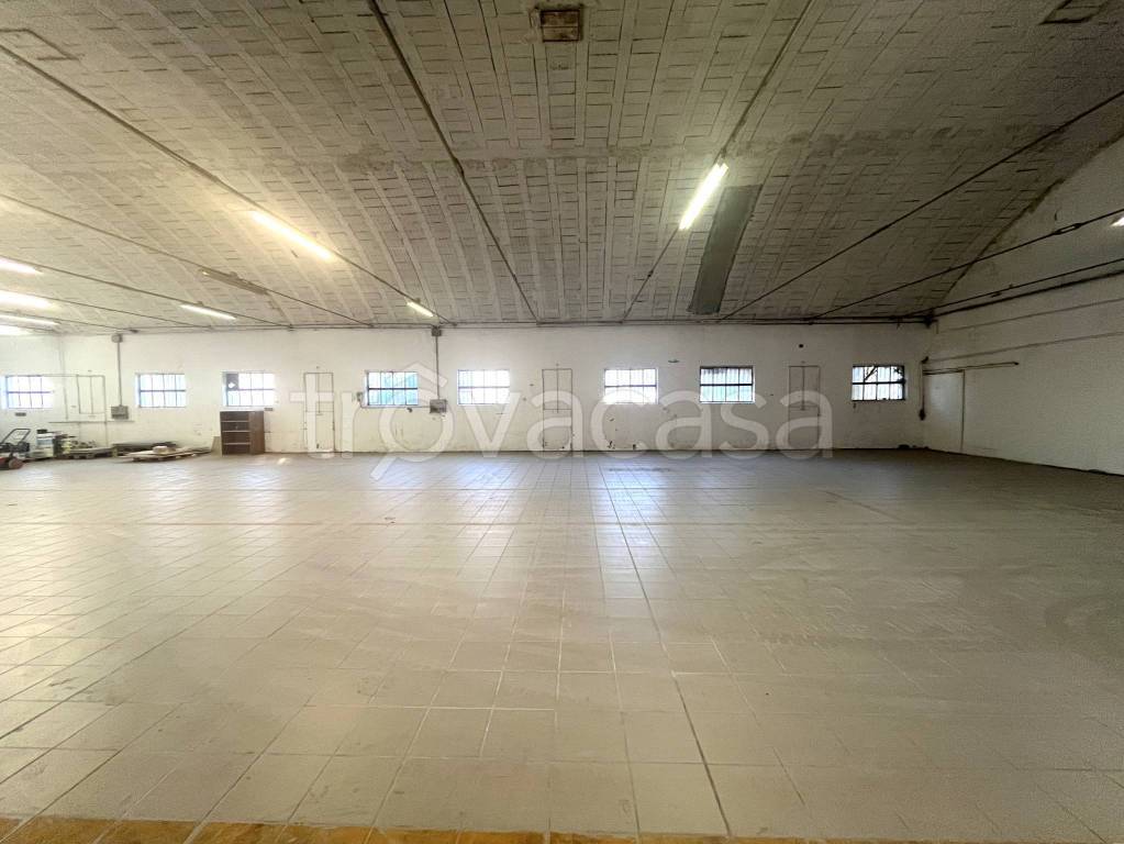 immagine annuncio 11 di 14