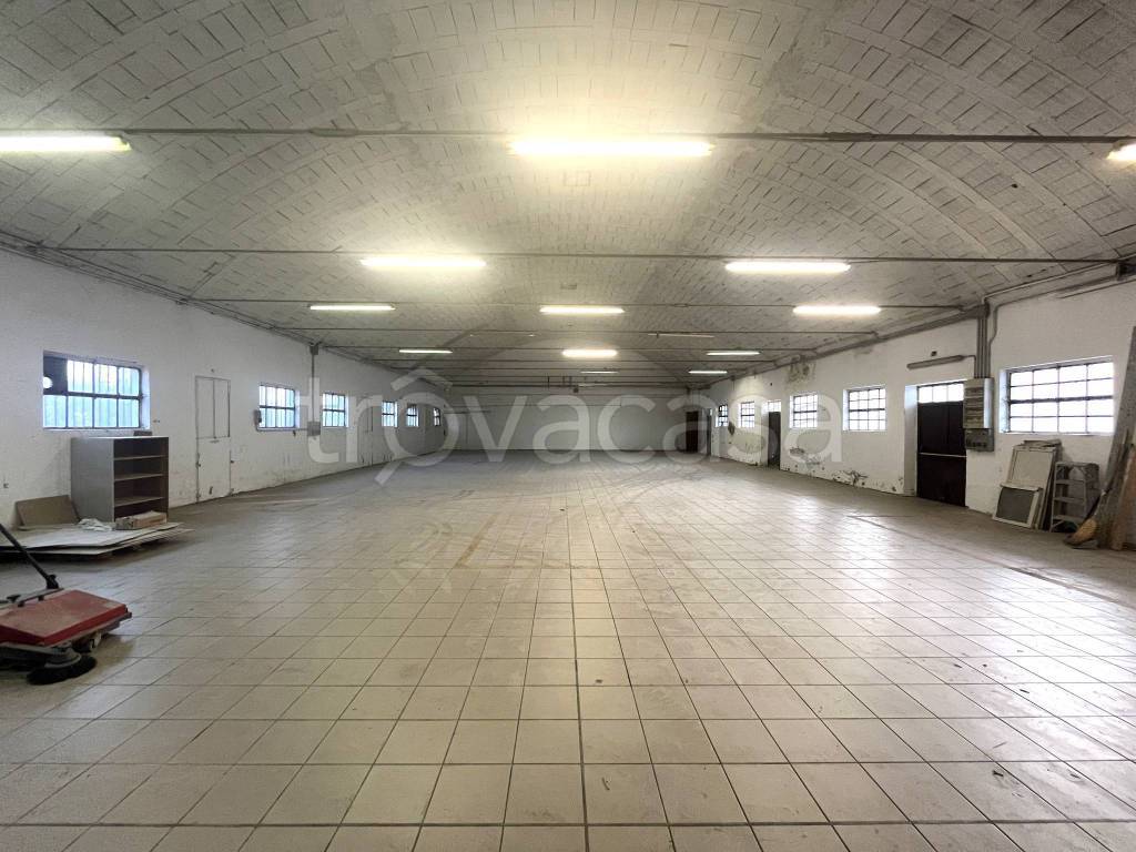 immagine annuncio 12 di 14