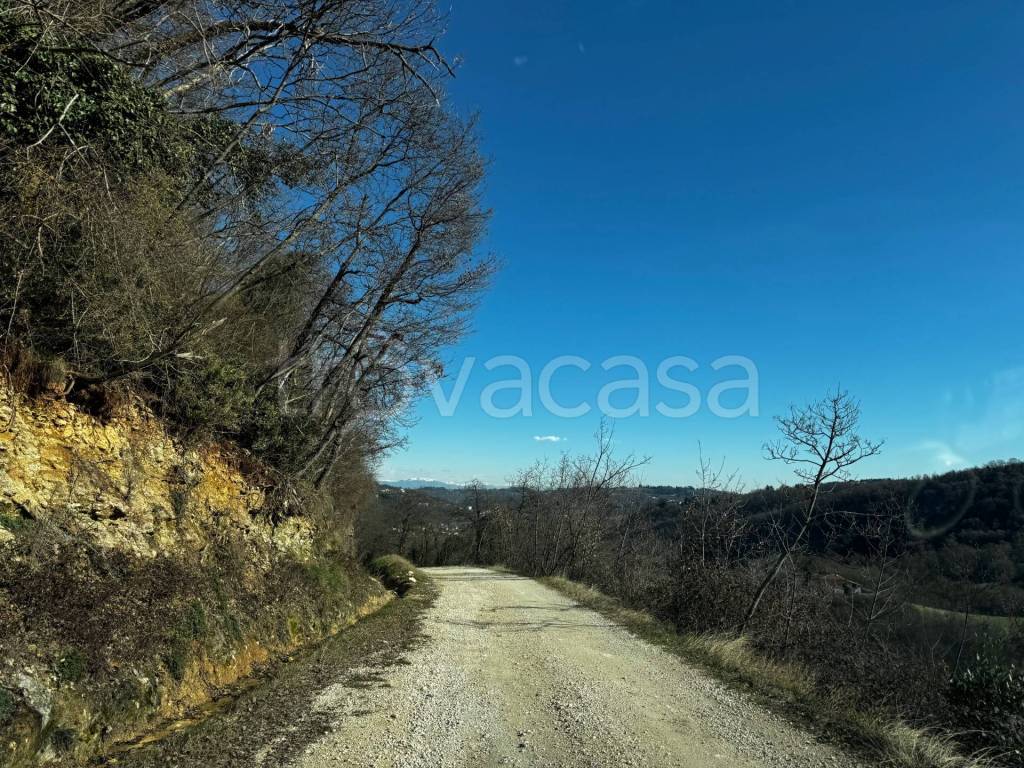 immagine annuncio 2 di 7