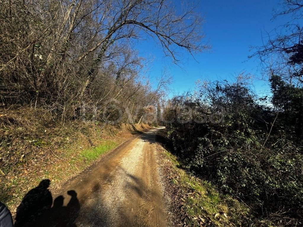 immagine annuncio 3 di 7