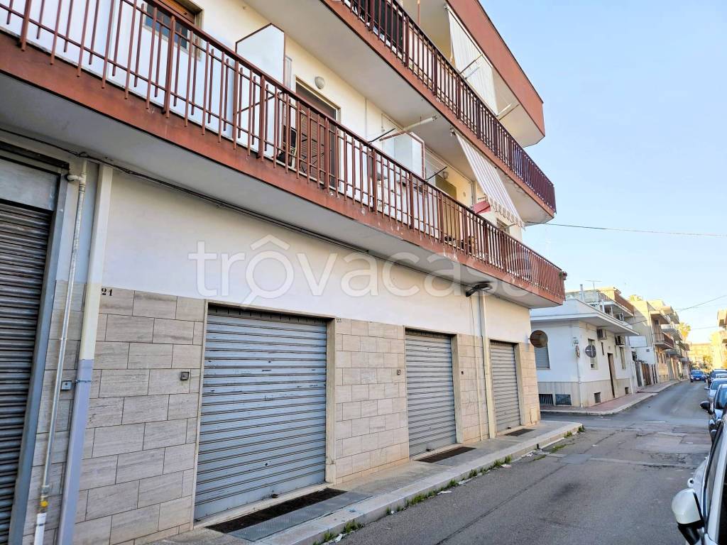 immagine annuncio 3 di 12