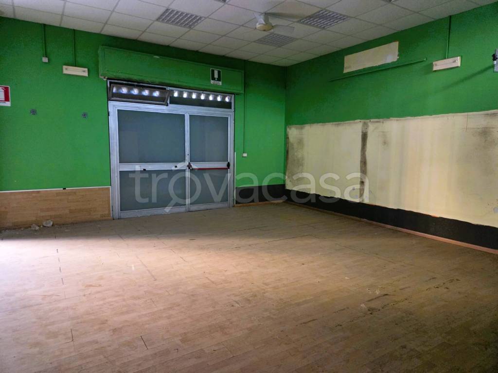 immagine annuncio 7 di 12