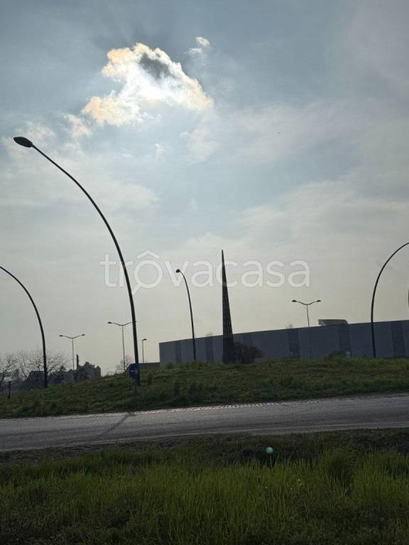 immagine annuncio 2 di 12