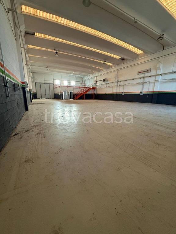 immagine annuncio 8 di 12