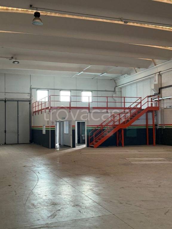 immagine annuncio 9 di 12