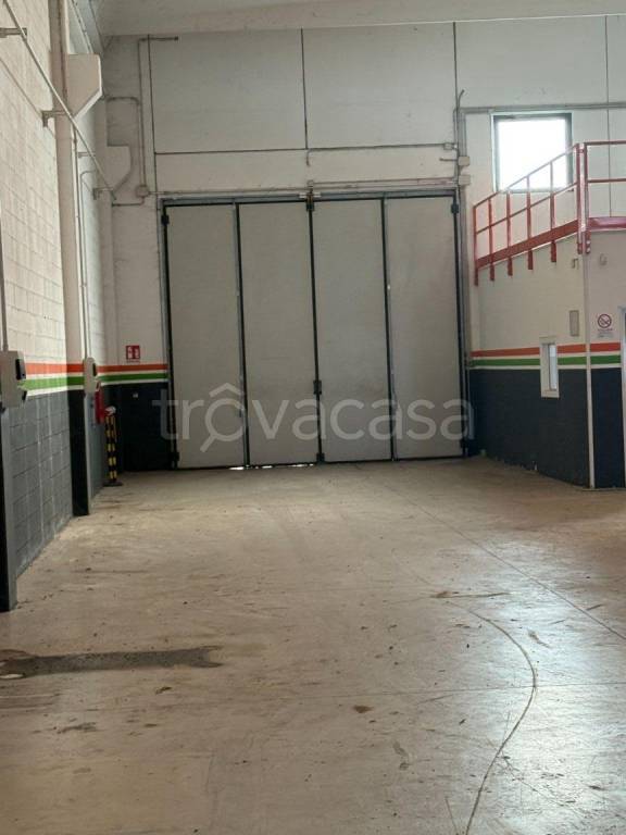 immagine annuncio 10 di 12