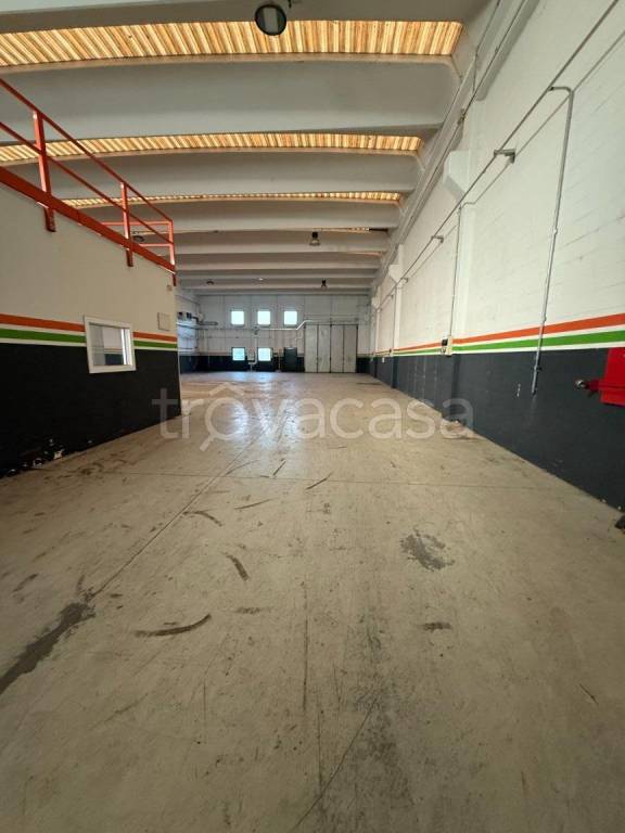 immagine annuncio 11 di 12