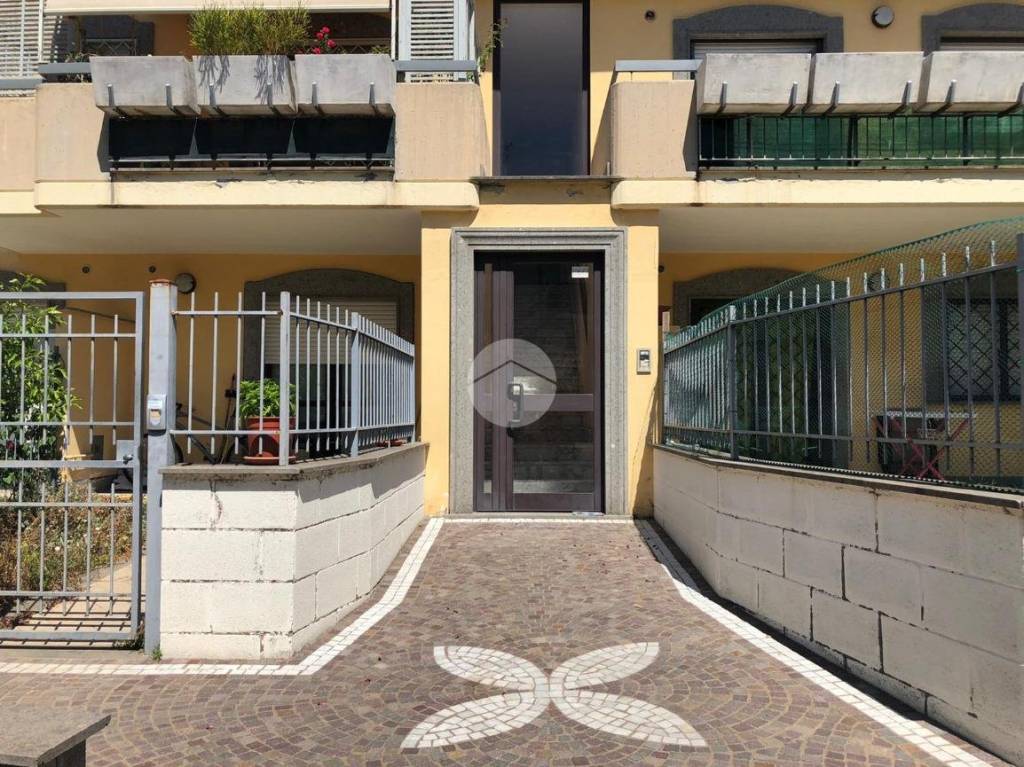 immagine annuncio 11 di 14