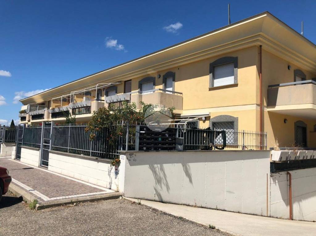 immagine annuncio 12 di 14