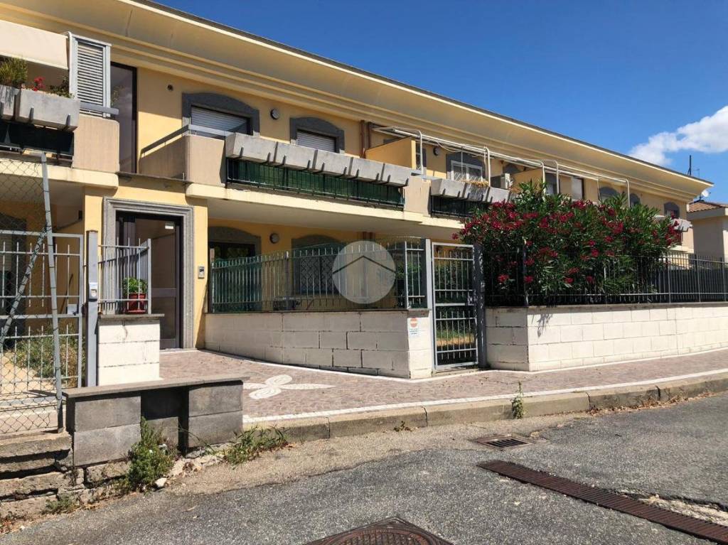 immagine annuncio 13 di 14