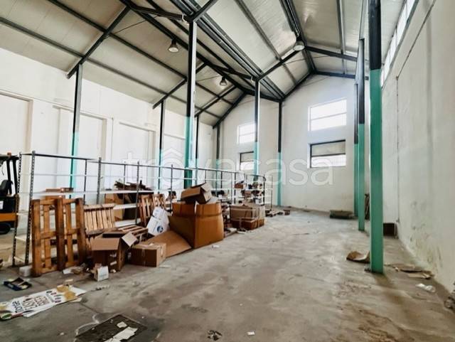 immagine annuncio 2 di 12