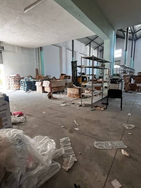 immagine annuncio 5 di 12