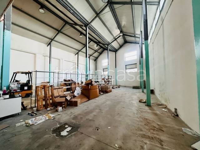 immagine annuncio 6 di 12