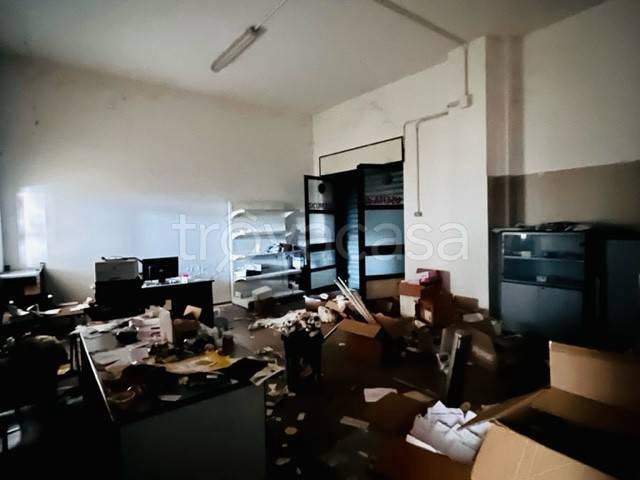 immagine annuncio 7 di 12