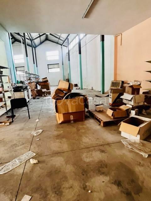 immagine annuncio 8 di 12