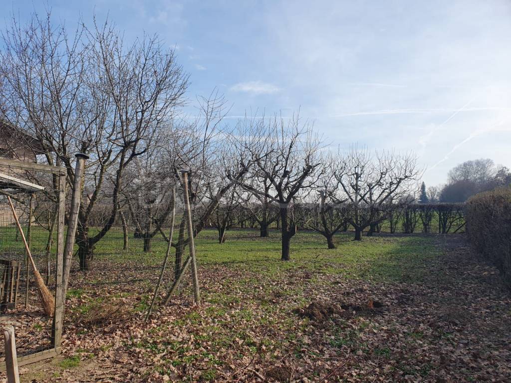 immagine annuncio 4 di 13