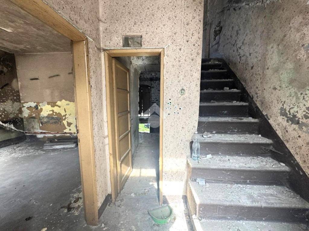 immagine annuncio 12 di 14