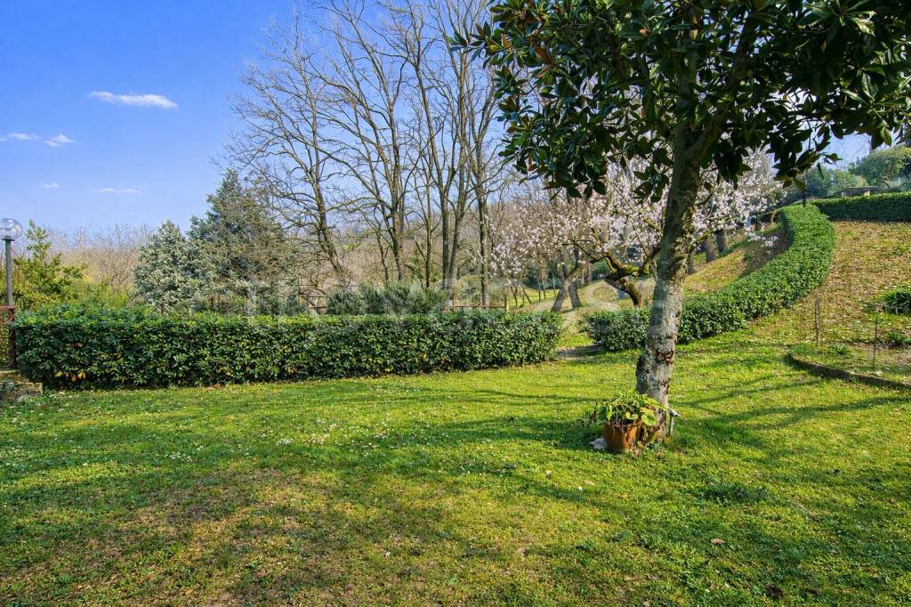 immagine annuncio 4 di 8