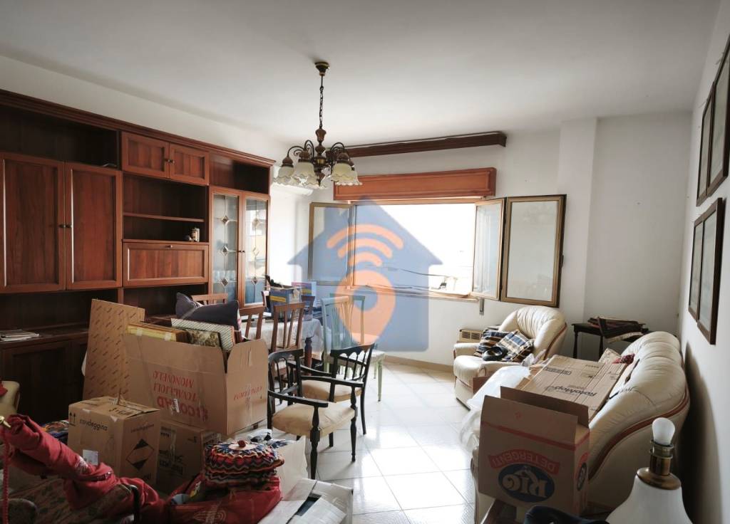 immagine annuncio 5 di 14