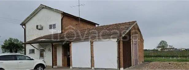 immagine annuncio 3 di 8