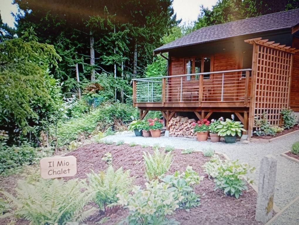 immagine annuncio 1 di 4